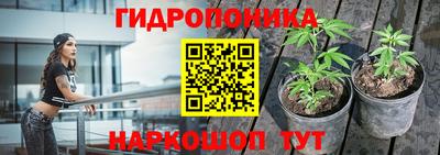 кокс Ливны
