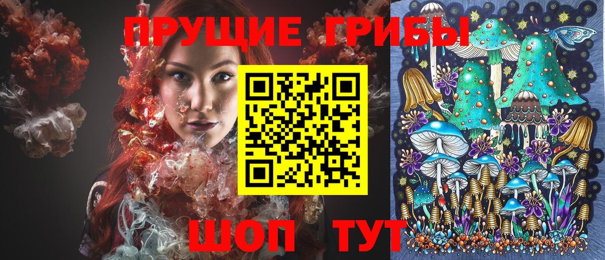 Псилоцибиновые грибы GOLDEN TEACHER Каменск-Шахтинский