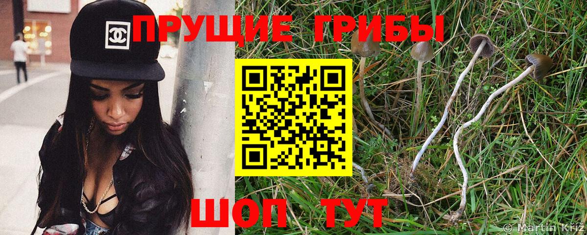 Галлюциногенные грибы мухоморы  Галлюциногенные грибы мицелий  Каменск-Шахтинский  Вход с VPN 